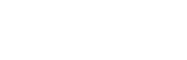 Genesis Steel